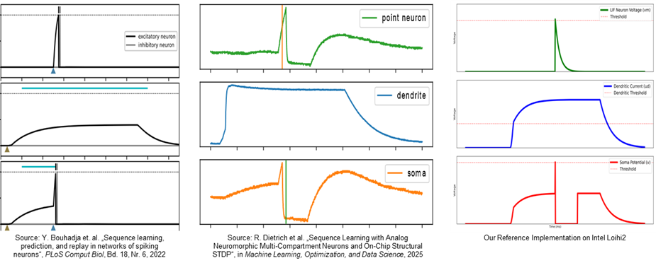 EBRAIN Ensembles